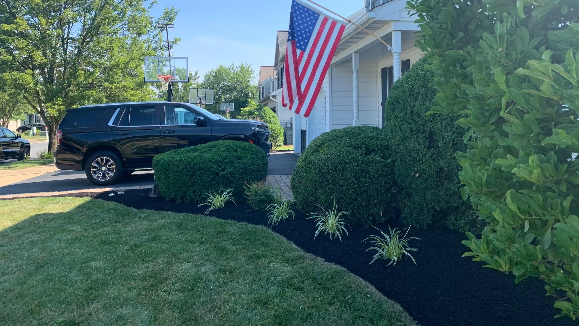 Landscape bed with mulch and trimmed plants.