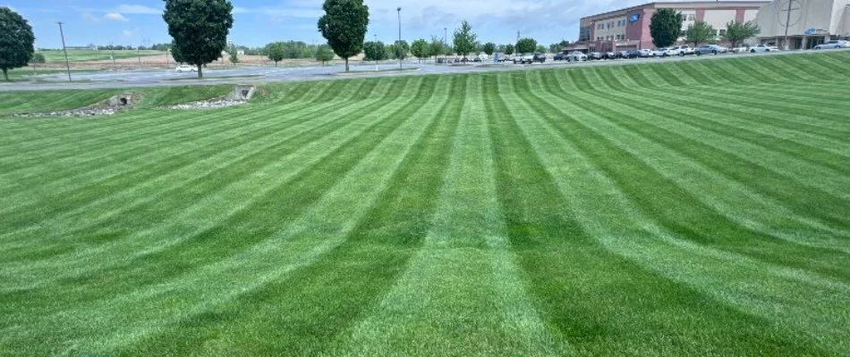 Freshly mowed grass on commercial lot in Lititz, PA.