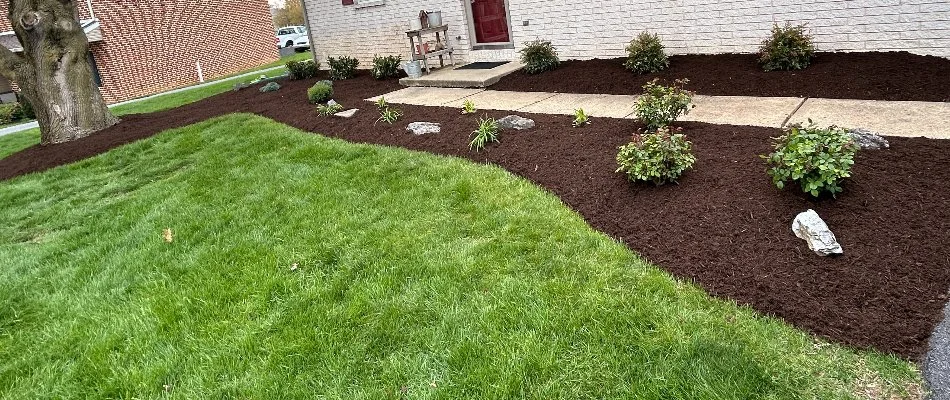 Newly installed brown mulch in Lititz, PA, with shrubs and large rocks.