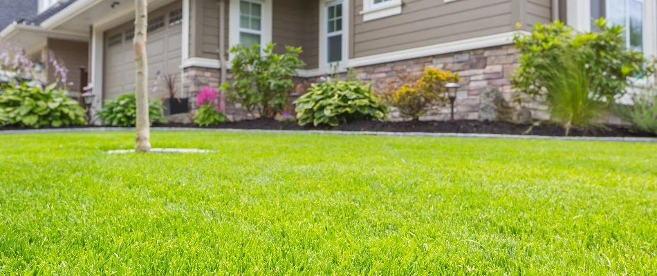 A healthy, green lawn on a property in Manheim, PA.