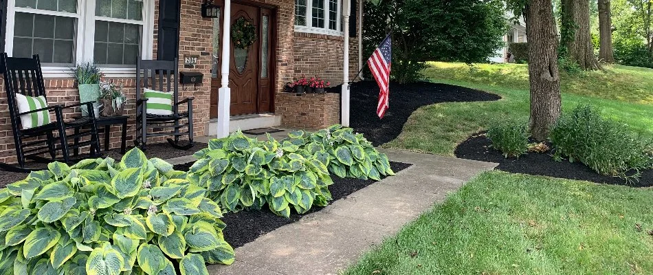 Landscape bed filled with plants in Manheim, PA.