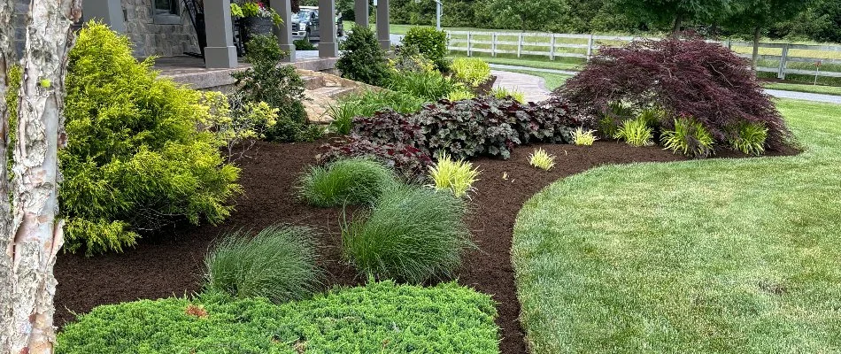 Green lawn beside a shaped landscape bed in Lititz, PA, with shrubs and mulch.