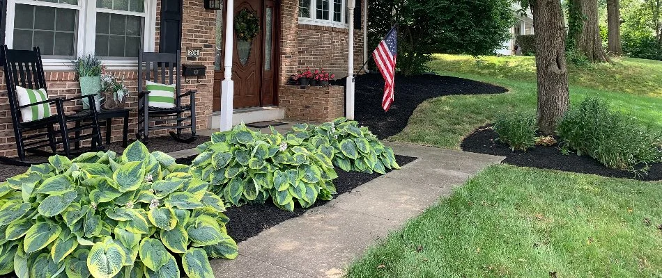 Mulched landscape in Lititz, PA, with green plants by a walkway.