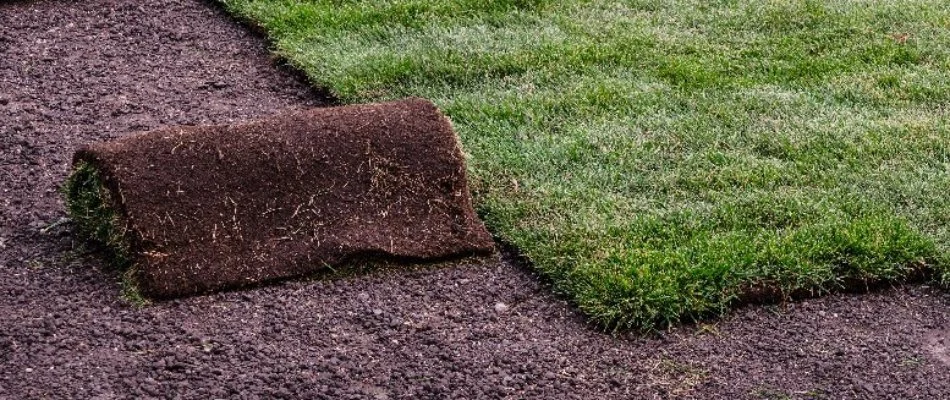 Roll of new turf for lawn in Lititz, PA.