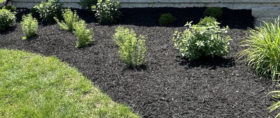 Pristine landscape bed at a home in Lititz, PA.