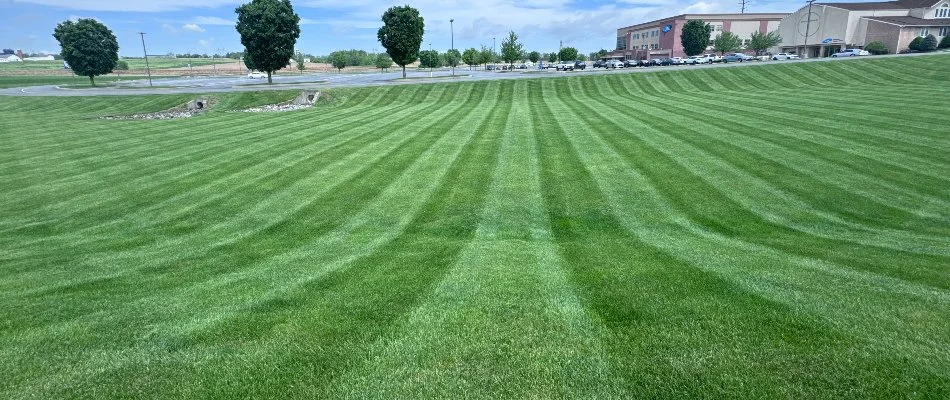 A large commercial lawn in Lititz, PA, that's been recently mowed.