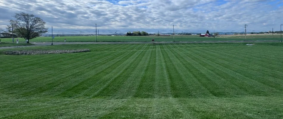 Sprawling lawn in Lititz, PA, with a striped mowing pattern.