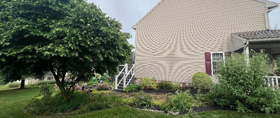 Trees and shrubs in a residential landscape bed in Lititz, PA.