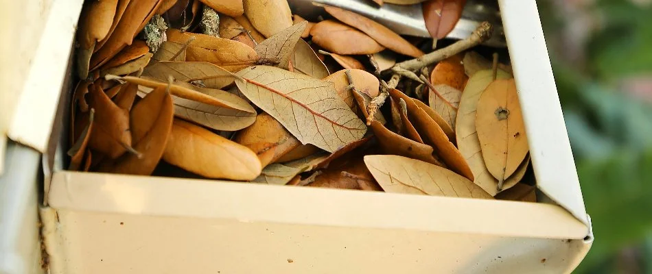 A white gutter in Lititz, PA, clogged with brown leaves. 