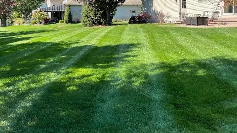 Backyard in Lititz, PA with healthy green grass.