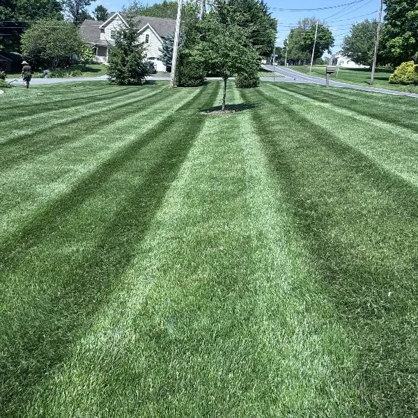 Green grass with mowing stripes in Lititz, PA.